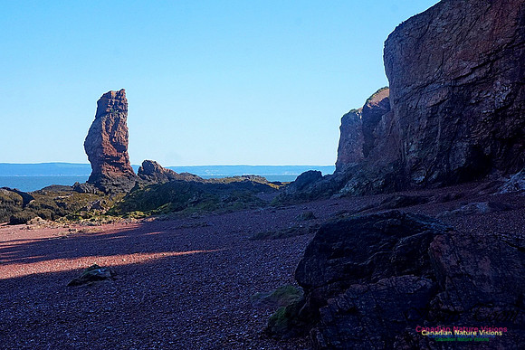 Anerson's Cove Hike 2931