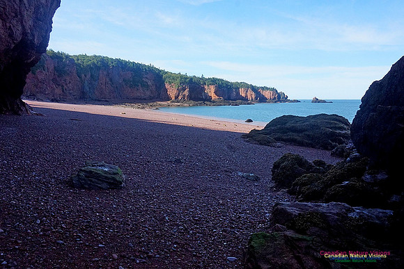 Anerson's Cove Hike 2932