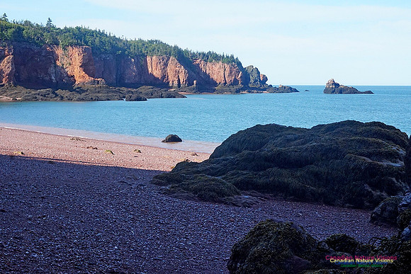 Anerson's Cove Hike 2933