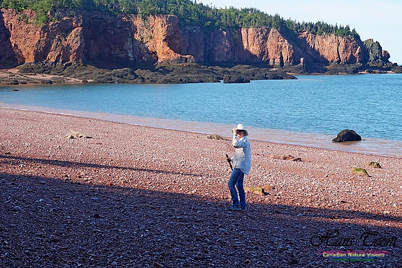 Anerson's Cove Hike 2934