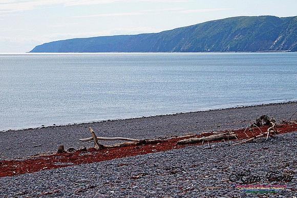 Cape Chignecto 220