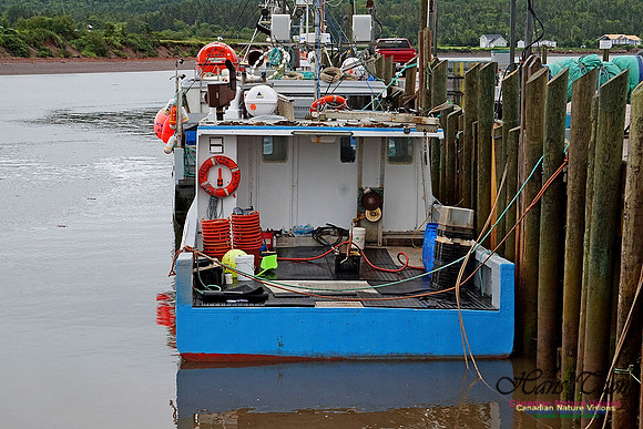 Dockside 220