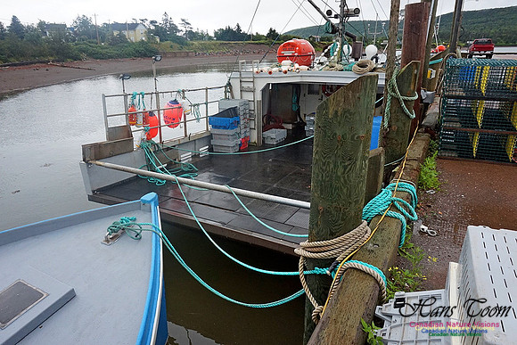 Dockside 223