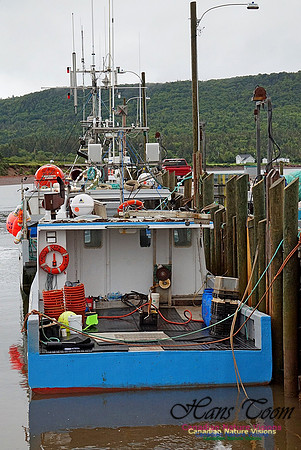 Dockside 221