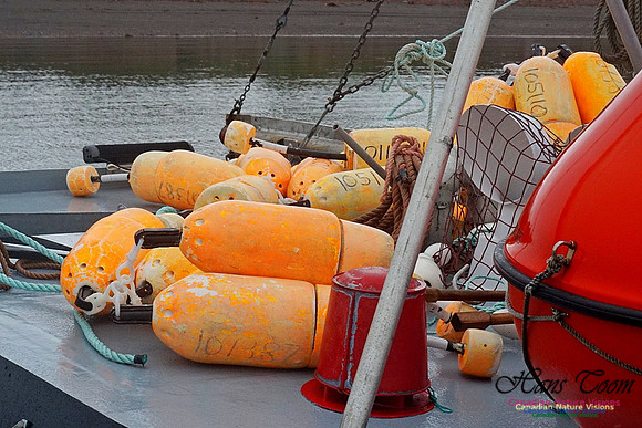 Dockside 224