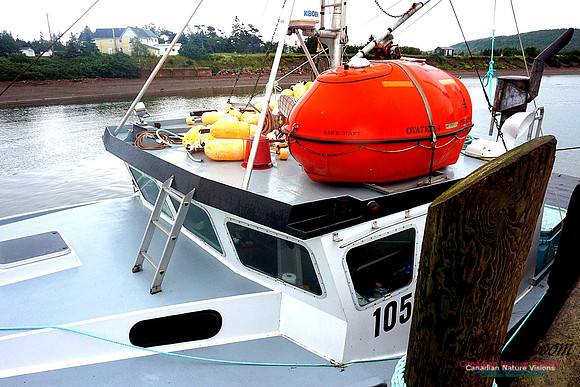 Dockside 226