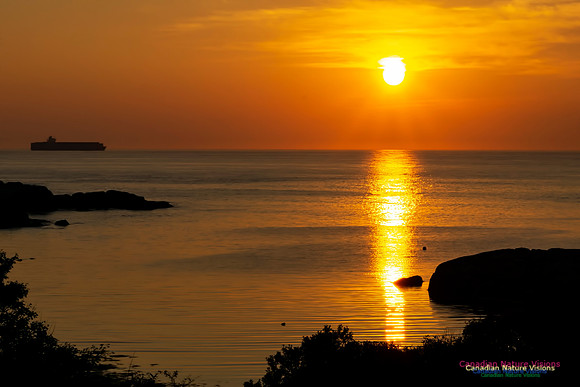 Sunrise 1000