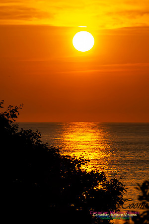 Sunrise 1001