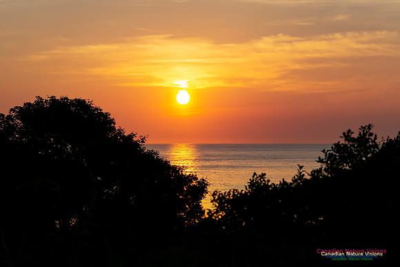 Sunrise 1002