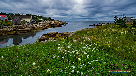 Portuguese Cove 103