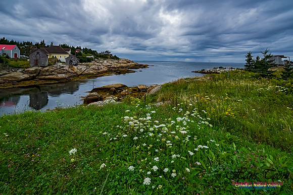 Portuguese Cove 102