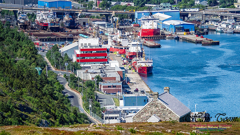 St. John's, Newfoundland 106