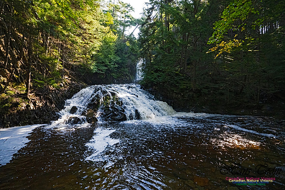 Butcher's Falls 115