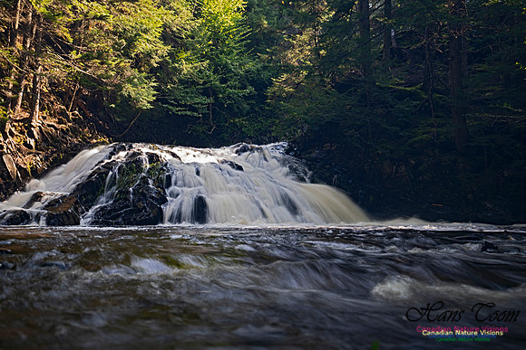 Butcher's Falls 100