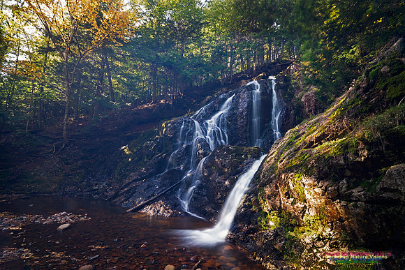Wentworth Falls 105