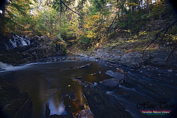 Nuttall Brook Falls 105