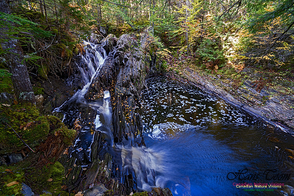Nuttall Brook Falls 111