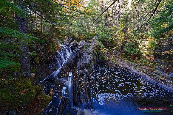 Nuttall Brook Falls 112