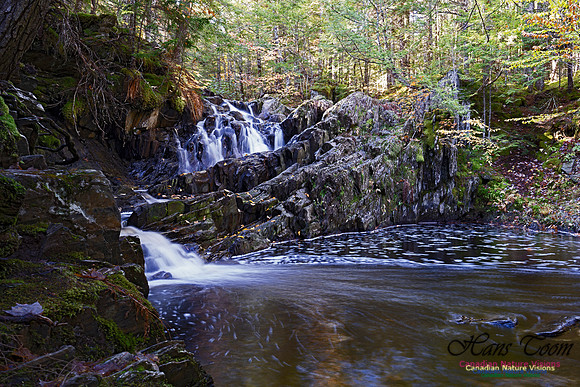 Nuttall Brook Falls 101