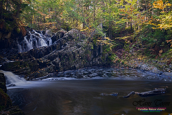 Nuttall Brook Falls 104