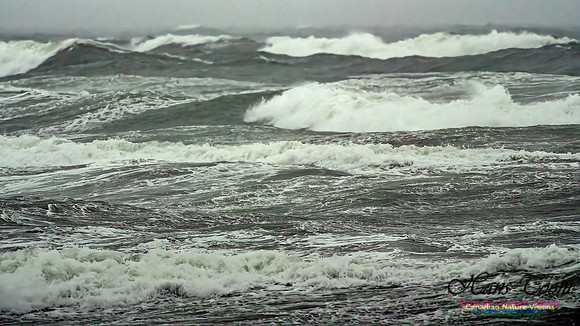 Martinique Beach Gale 110