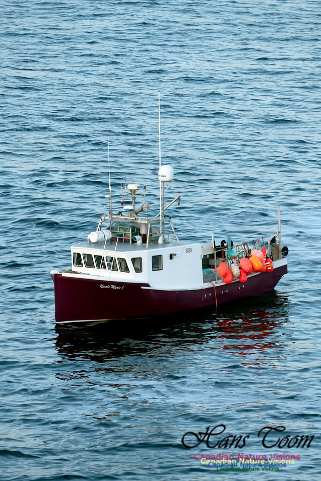 Longliner off Chebucto Head 1