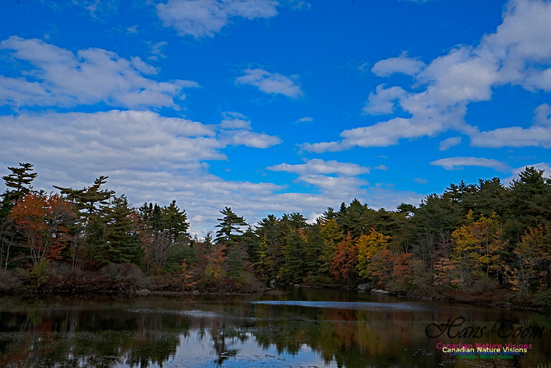 A Good Cloud Day 100