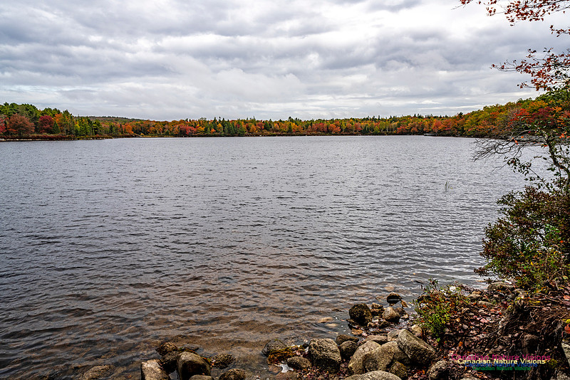More Early Fall Photos in Nova Scotia 223