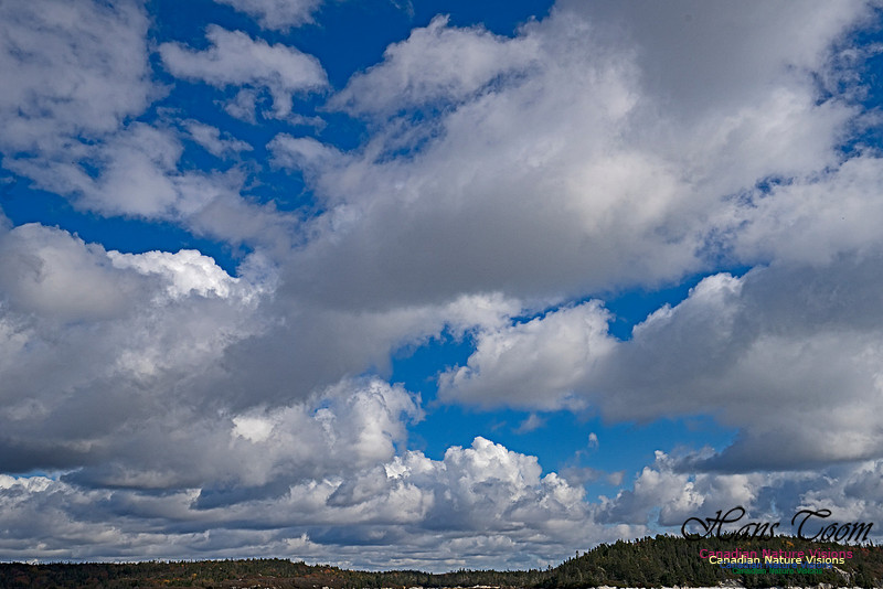 A Good Cloud Day 113