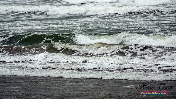 Martinique Beach Gale 105