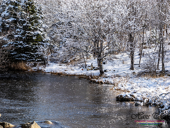 April Snow in Nova Scotia 220