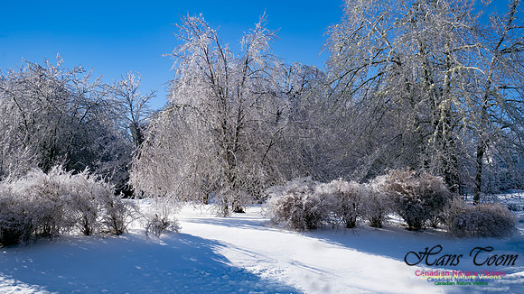 Ice Storm 2022 120