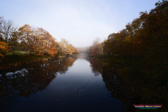 Musquidoboit River Valley 120