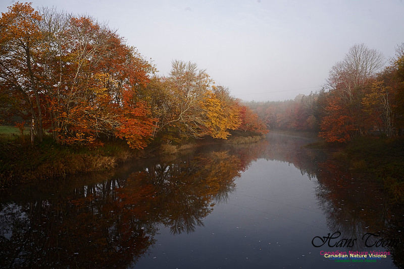 Musquidoboit River Valley 121