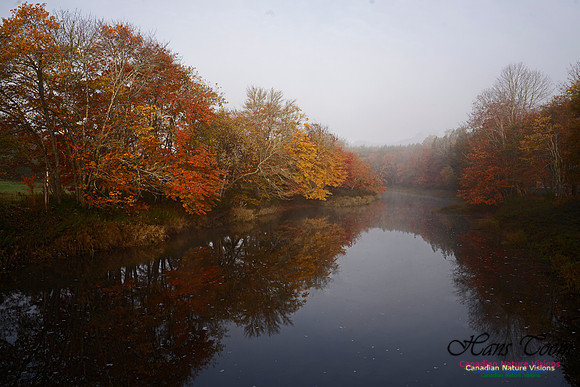 Musquidoboit River Valley 122