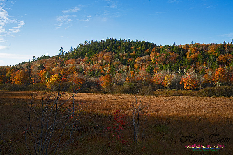 Musquidoboit River Valley 119