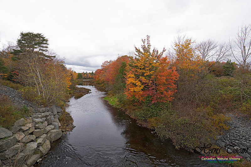 Musquidoboit River Valley 101