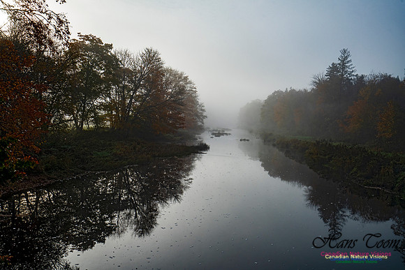 Musquidoboit River Valley 124
