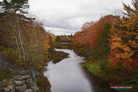 Musquidoboit River Valley 102