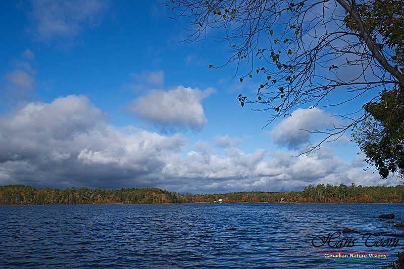 Musquidoboit River Valley 103
