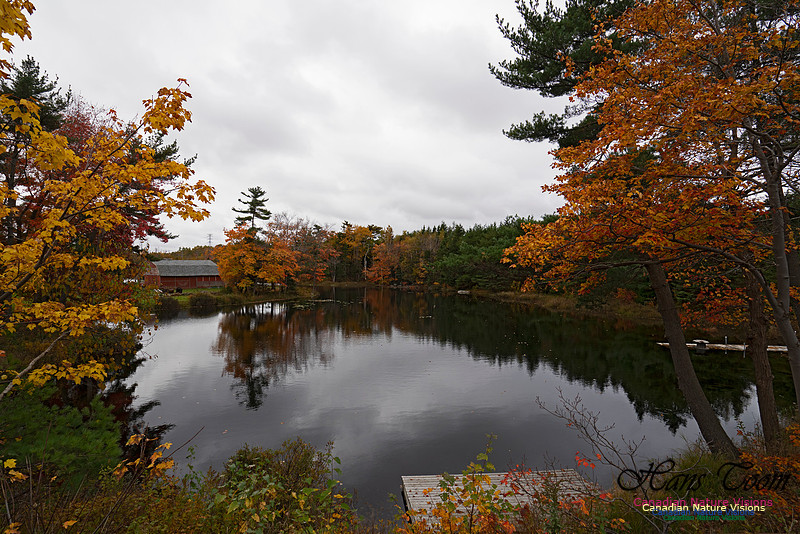 Musquidoboit River Valley 104