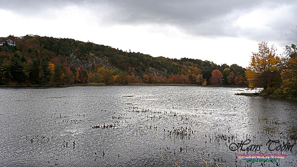 Musquidoboit River Valley 106