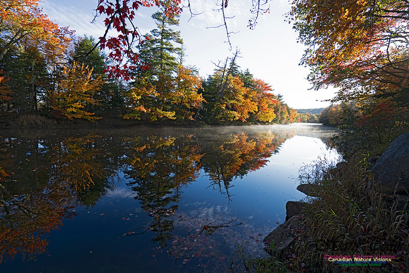 Musquidoboit River Valley 107