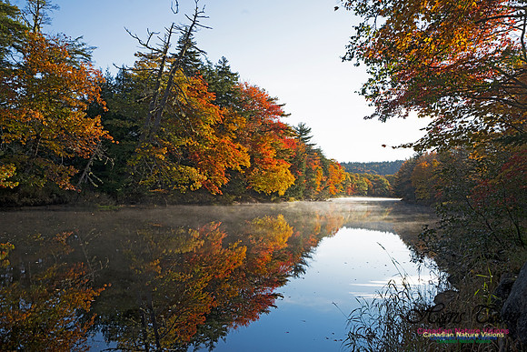 Musquidoboit River Valley 109