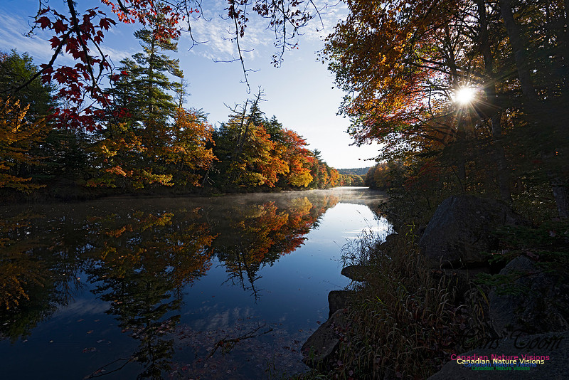 Musquidoboit River Valley 110
