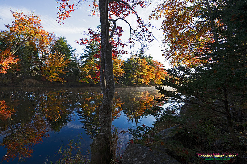 Musquidoboit River Valley 111