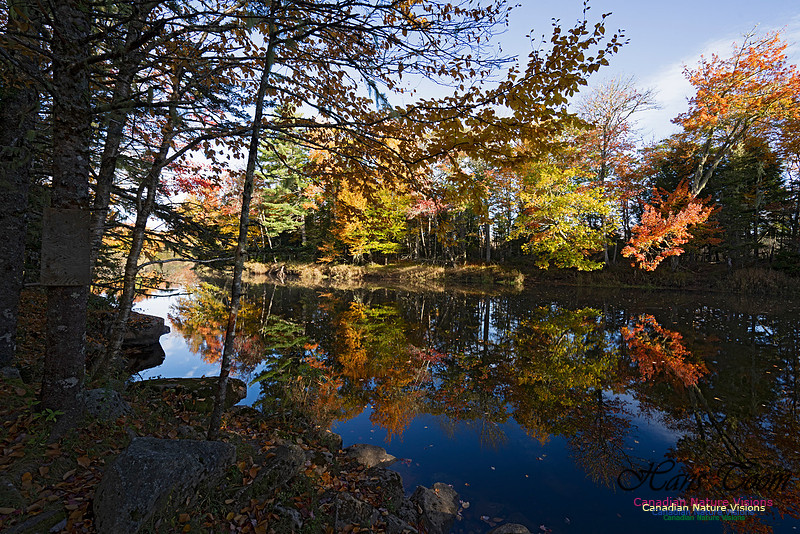 Musquidoboit River Valley 112