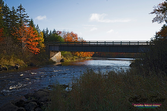Musquidoboit River Valley 114
