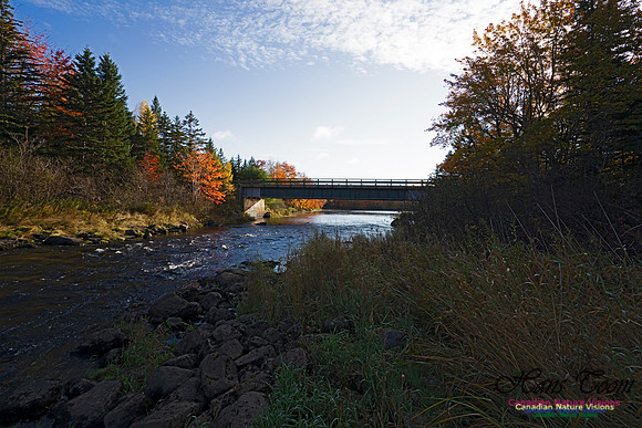 Musquidoboit River Valley 115