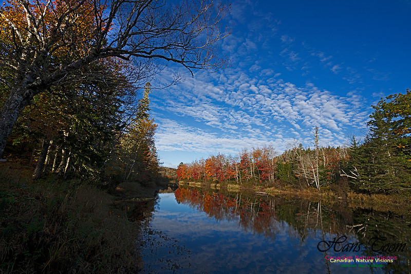 Musquidoboit River Valley 116